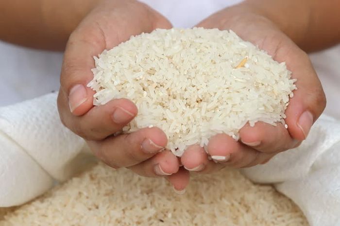 Mencegah beras berkutu