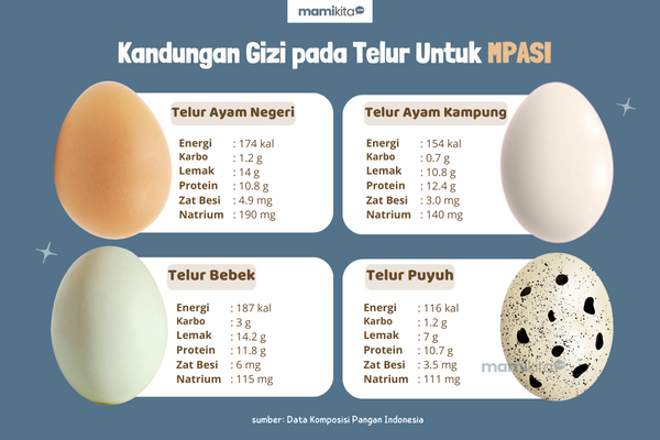 Tabel Kandungan Gizi Telur