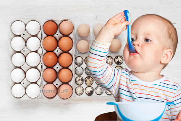 4 Jenis Telur yang paling Bagus untuk MPASI dan Kandungan Gizinya