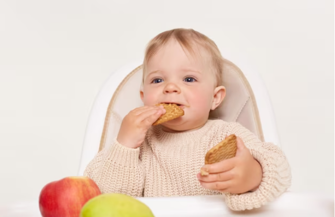 Merk Snack MPASI Untuk Bayi 6 Bulan, Penuh Nutrisi dengan Rasa yang Enak