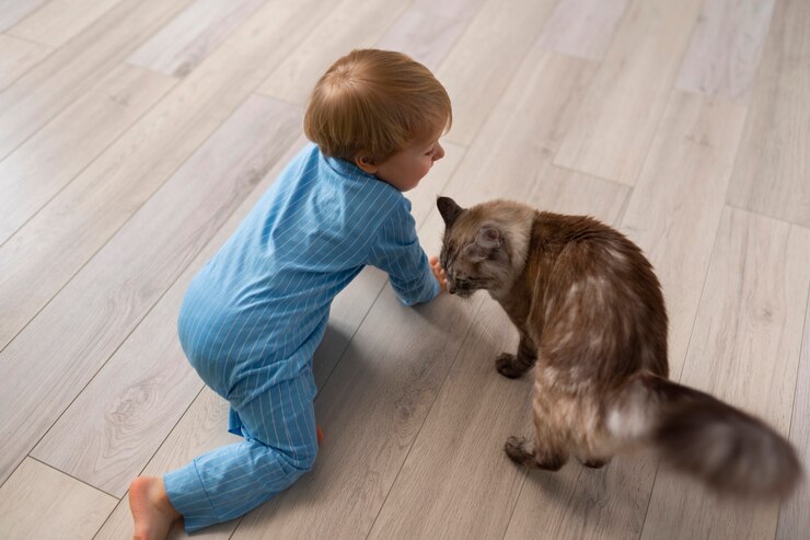 Kebiasaan Anak Bermain Dengan Kucing
