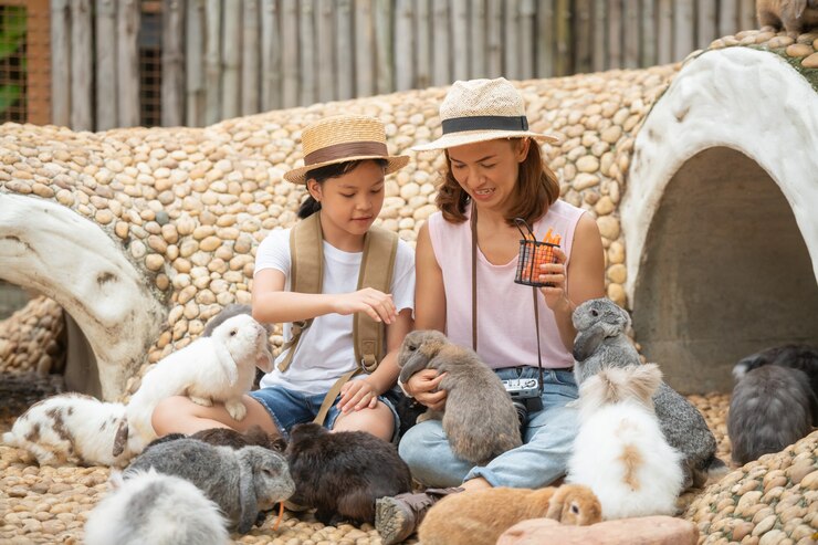 Manfaat mengajak anak ke kebun binatang 