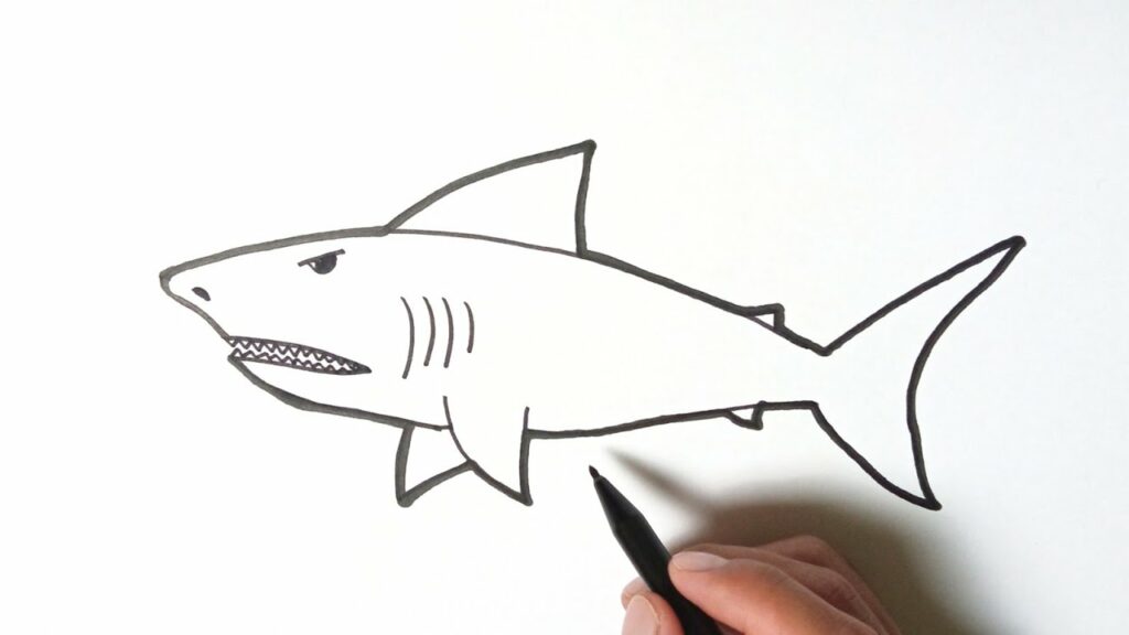 Cara Menggambar Ikan Hiu