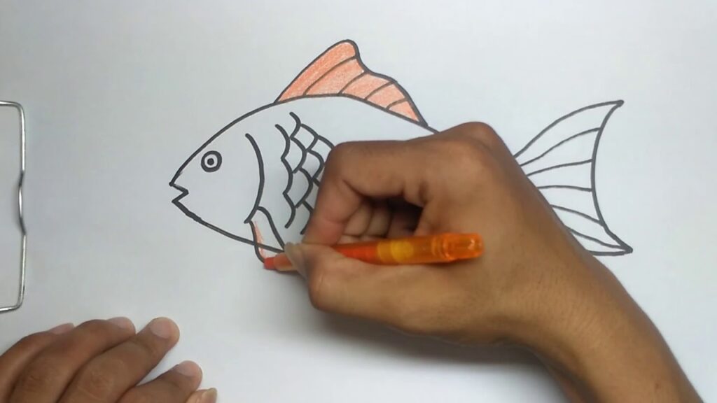 Cara Menggambar Ikan Mirip Aslinya