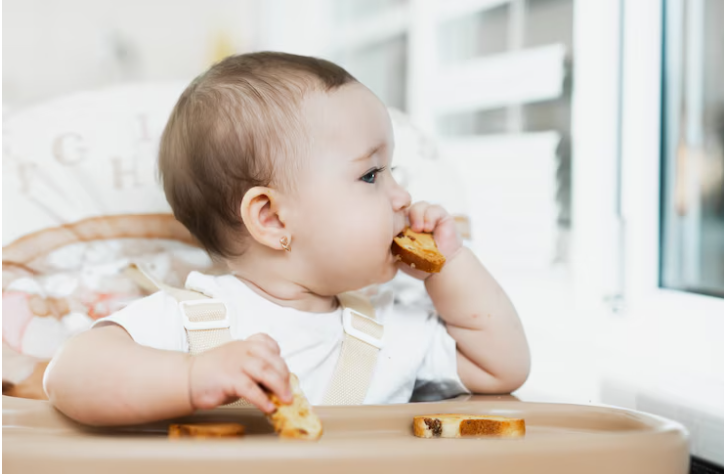 Biskuit untuk Merangsang Pertumbuhan Gigi Bayi