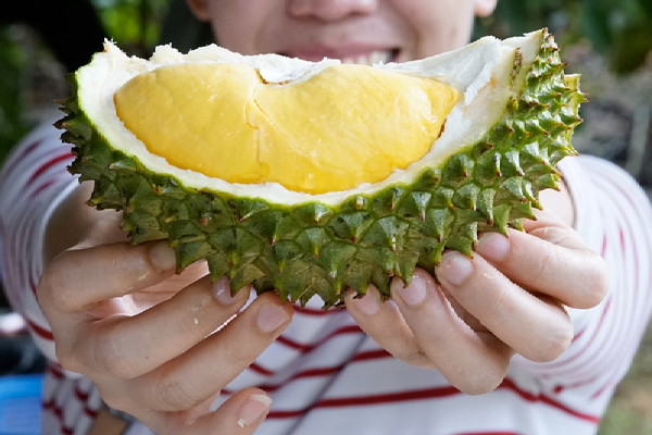 efek makan durian saat hamil muda