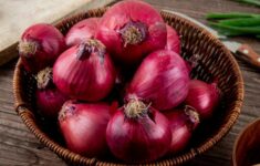 Apakah bawang merah bisa mengobati perut kembung
