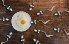 bagaimana cara mencegah kehamilan jika sperma sudah terlanjur masuk