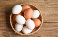 protein telur ayam kampung
