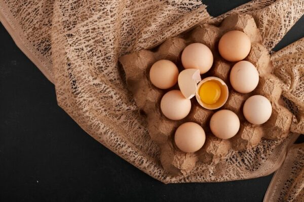 protein telur ayam kampung