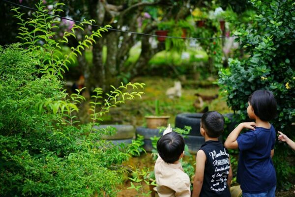 sekolah alam di Surabaya