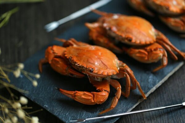 bolehkah ibu hamil makan kepiting