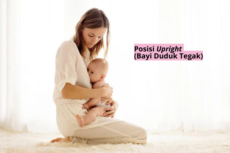 Posisi Upright (Bayi Duduk Tegak)