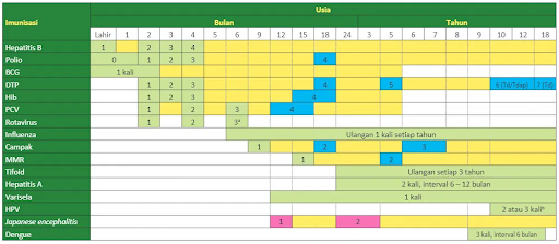 Daftar Vaksin Wajib untuk Anak Usia 0–18 Bulan, Lengkap Beserta Manfaatnya 5 unnamed 4