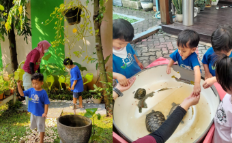 Sekolah Alam Balita Rumah Anak Cilandak.
