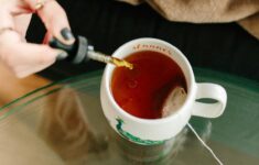 Stevia sebagai Pemanis untuk Ibu Menyusui